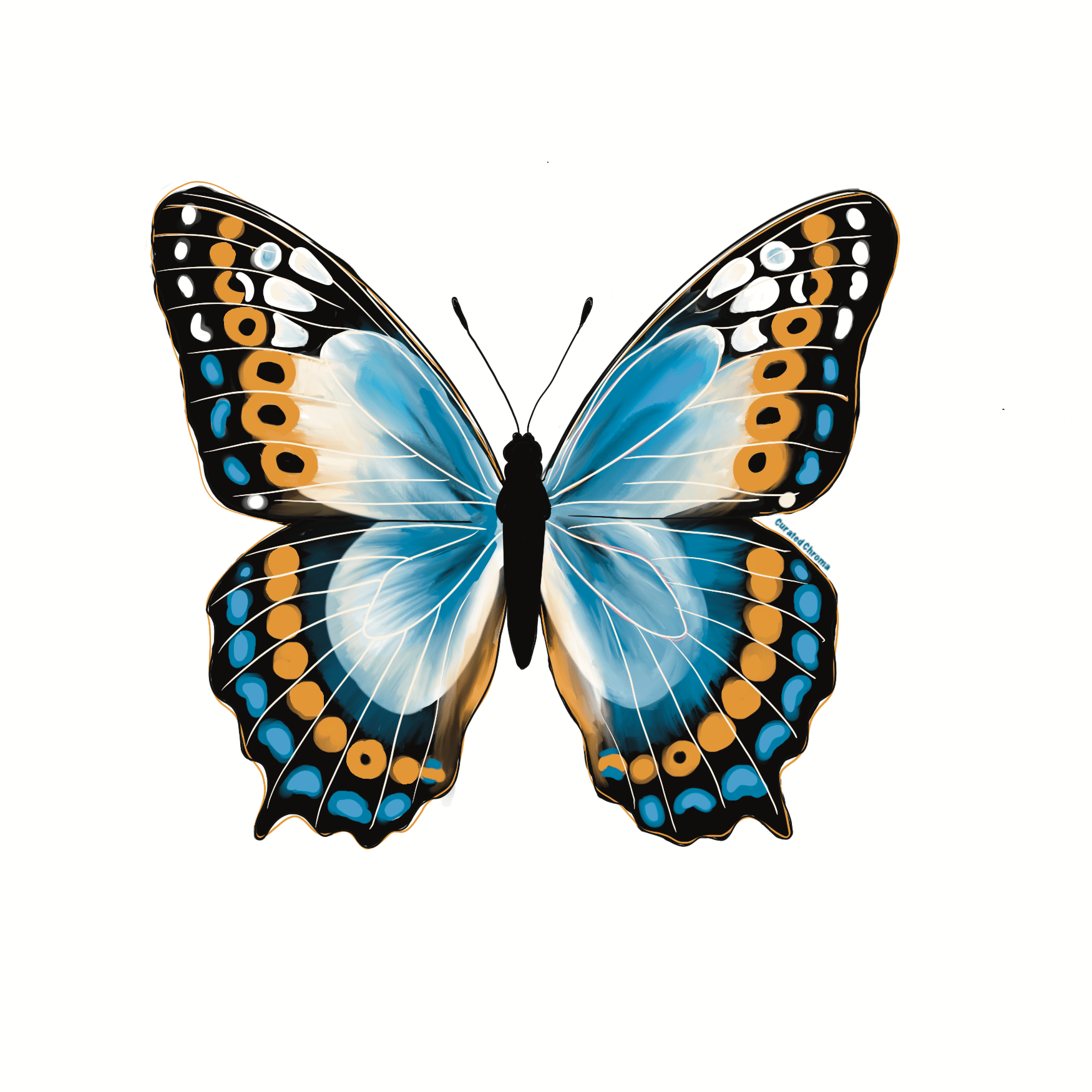 Vibrant Butterfly Die Cut Sticker - | High - Quality Waterproof Sticker - Clear | Curated Chroma Designs